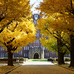 東京大学