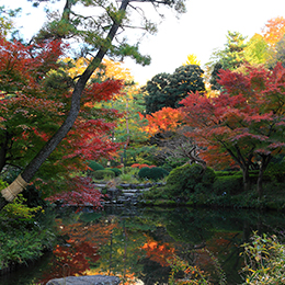 甘泉園公園