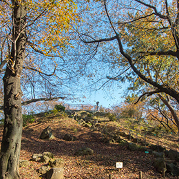 戸山公園