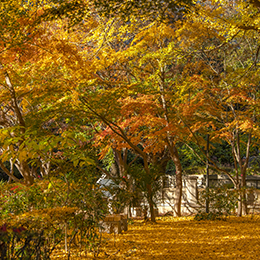 清水谷公園