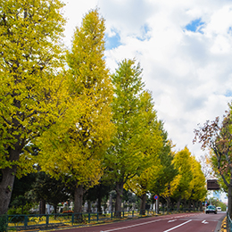 青山霊園