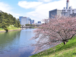 桜田濠