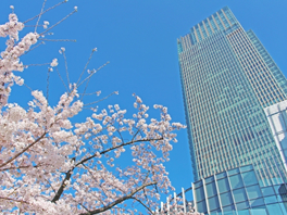 東京ミッドタウン