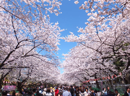 上野公園