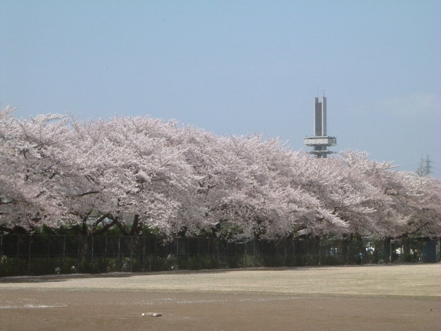 駒沢オリンピック公園