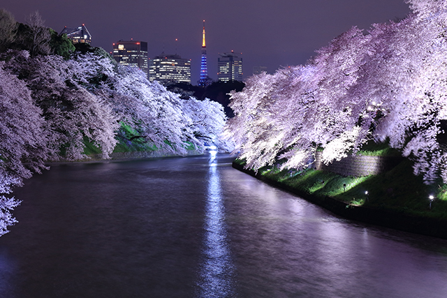 桜田濠